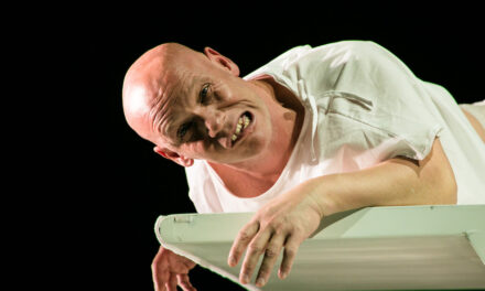Zoom al Festival ENDOA
